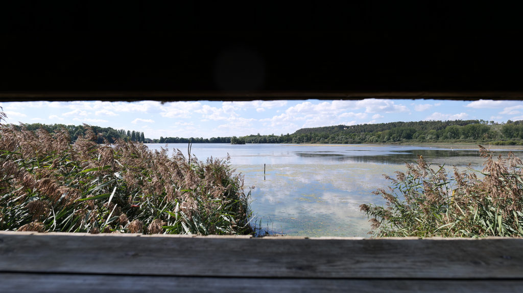 L'étang de Marcenay vue de l'intérieur de l'observatoire