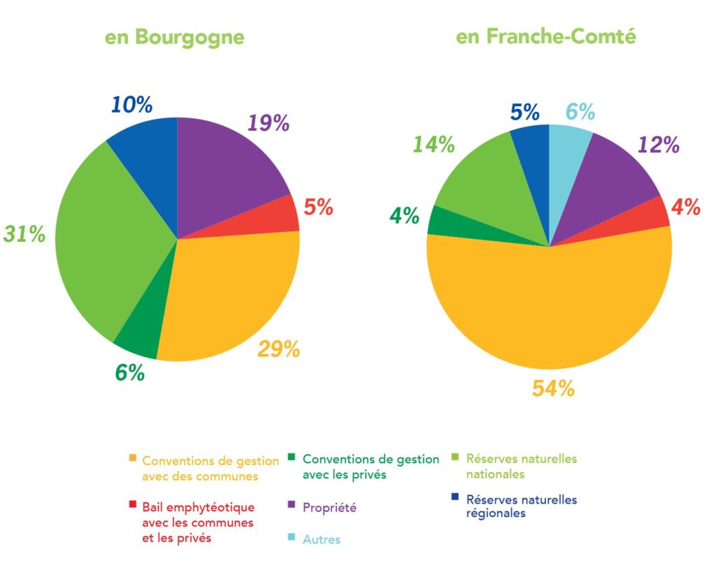 Diagramme des types de maîtrise foncière