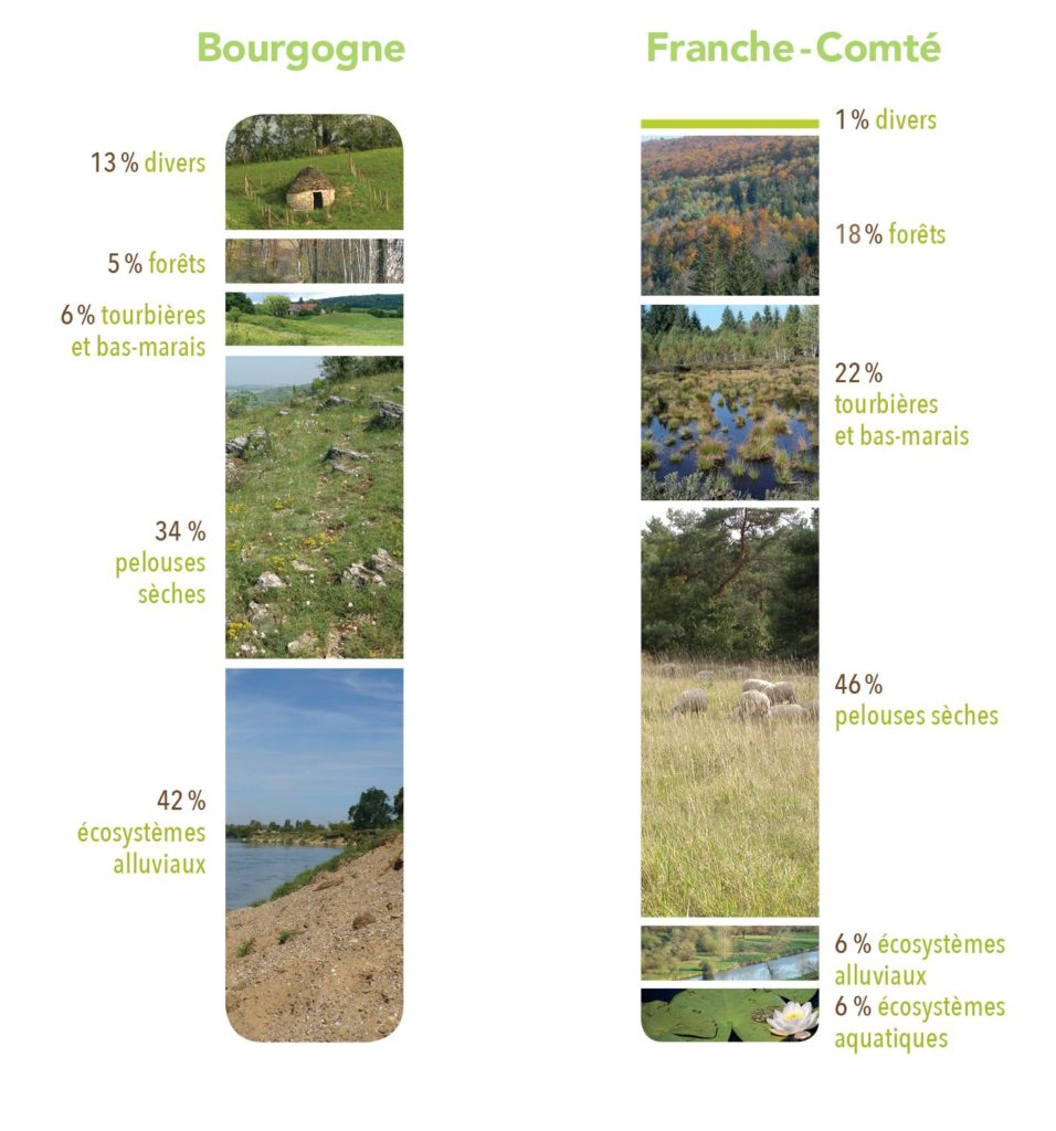 Surfaces gérées par types de milieux naturels