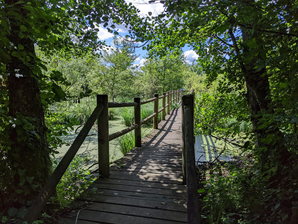 Sentier nature aménagé sur pilotis