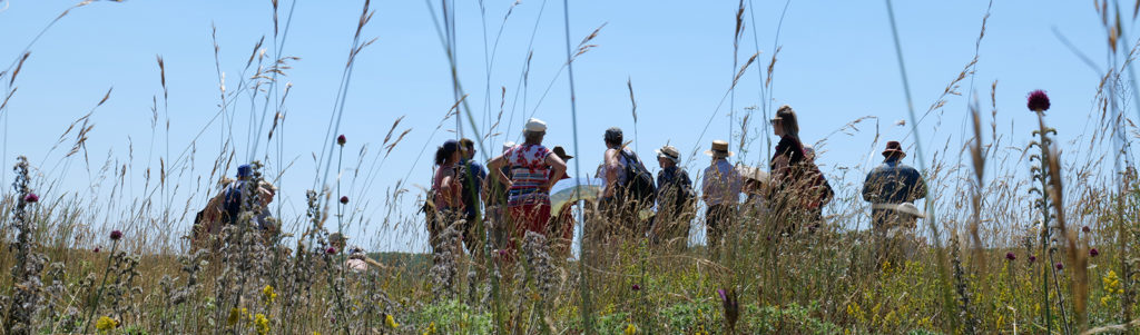 Adhérents du Conservatoire de Bourgogne participant à une animation nature