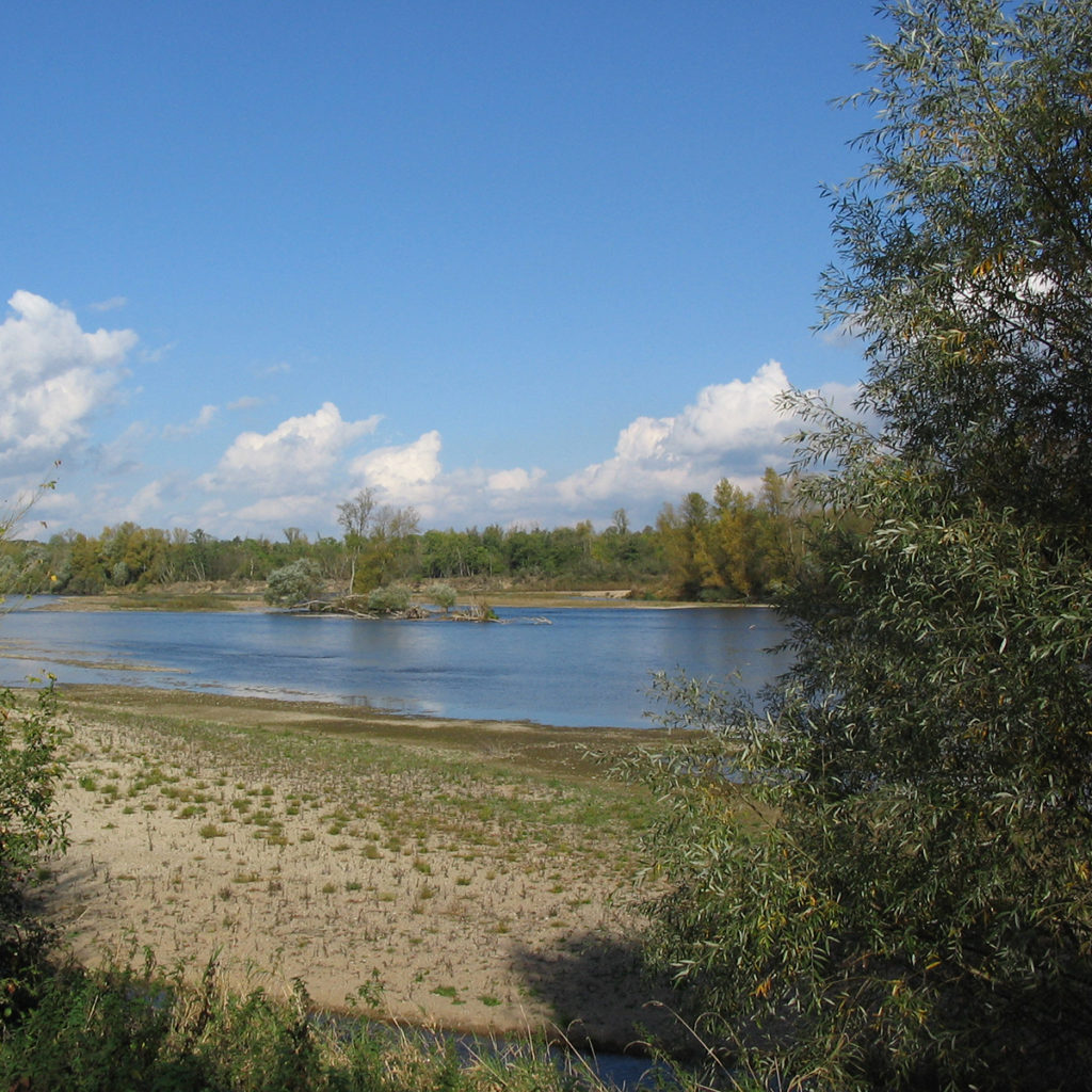 La Loire façonne des grèves et bancs de sable au long de la Réserve Naturelle Nationale du Val de Loire.