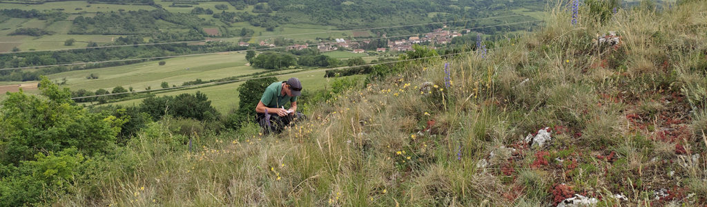 Botaniste sur le terrain