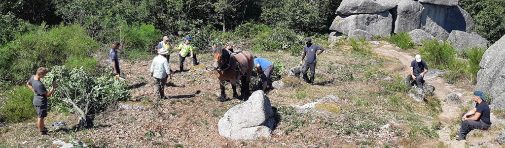 Chantier de débroussaillage de site naturel