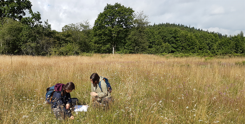 Suivi scientifique dans une prairie